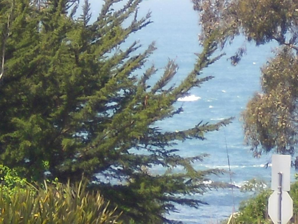 Super 8 By Wyndham Fort Bragg Esterno foto